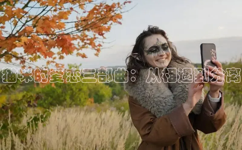 猫咪的爱恋三部曲：从相遇到分离