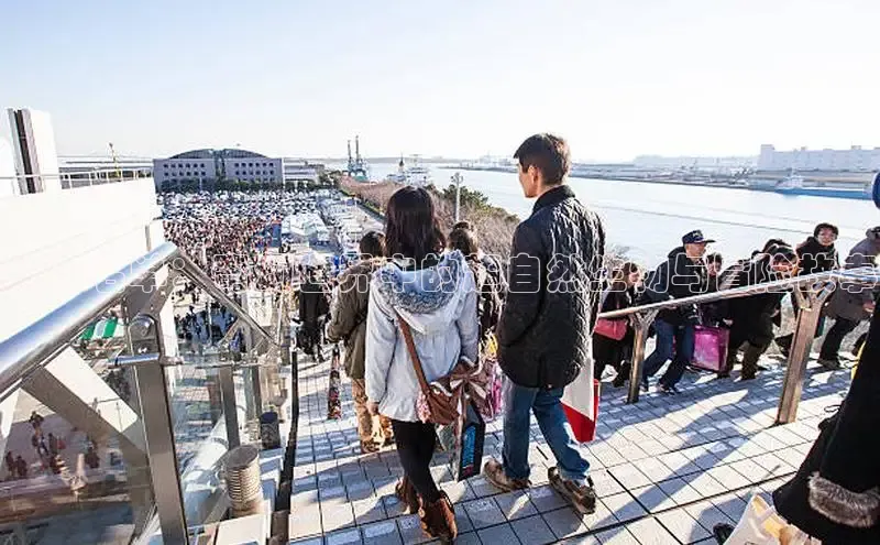 包子漫画官网app下载