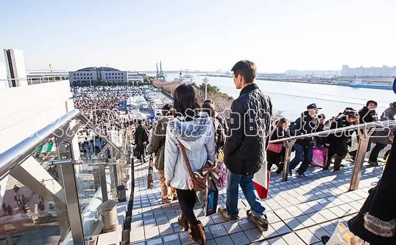 夜叉之鸦：动漫中的神秘角色