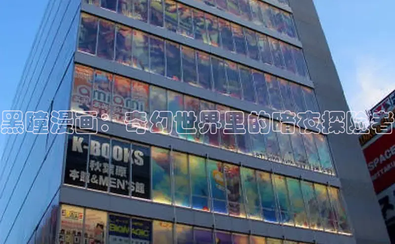 黑瞳漫画：奇幻世界里的暗夜探险者